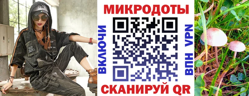 kraken вход  Тотьма  Псилоцибиновые грибы Psilocybe 